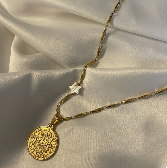 ‘BIG COIN’ necklace goud